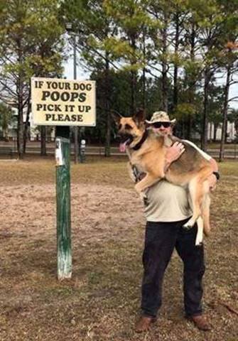 Dog Poop.jpg