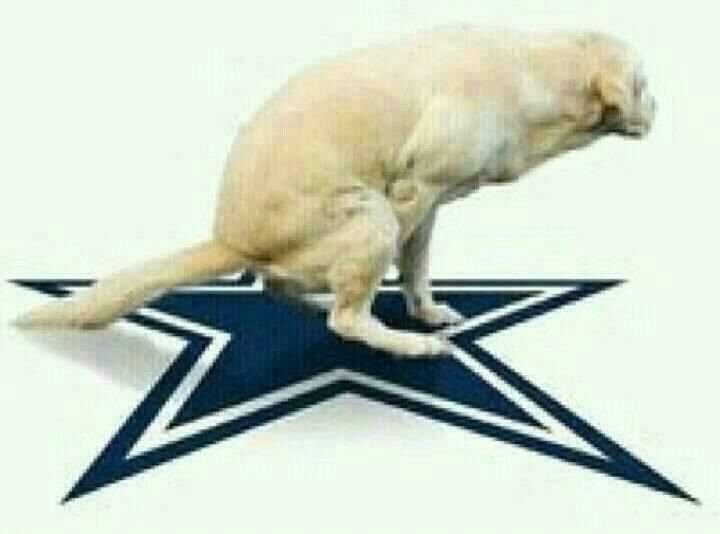 dogpoop.jpg