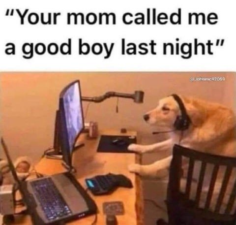 dogs.jpg