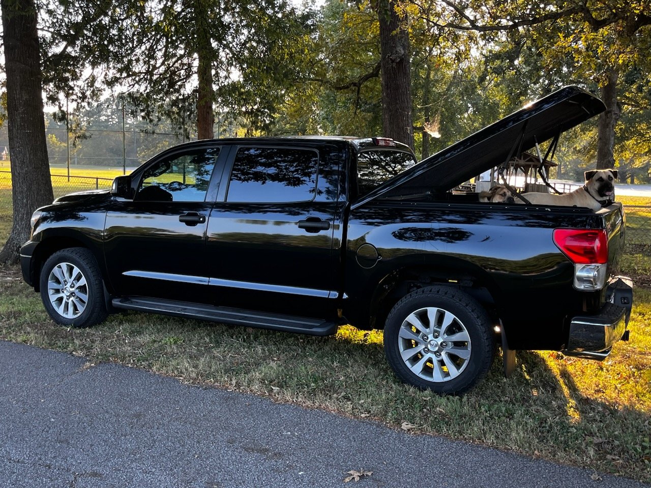 Dogs n Tundras.jpg