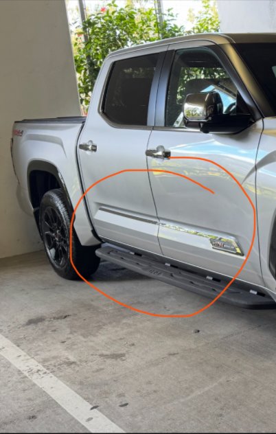 Door Guard Chrome.png