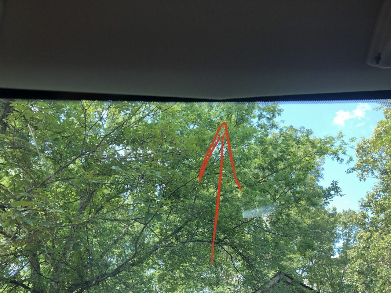 driver side headliner.jpg