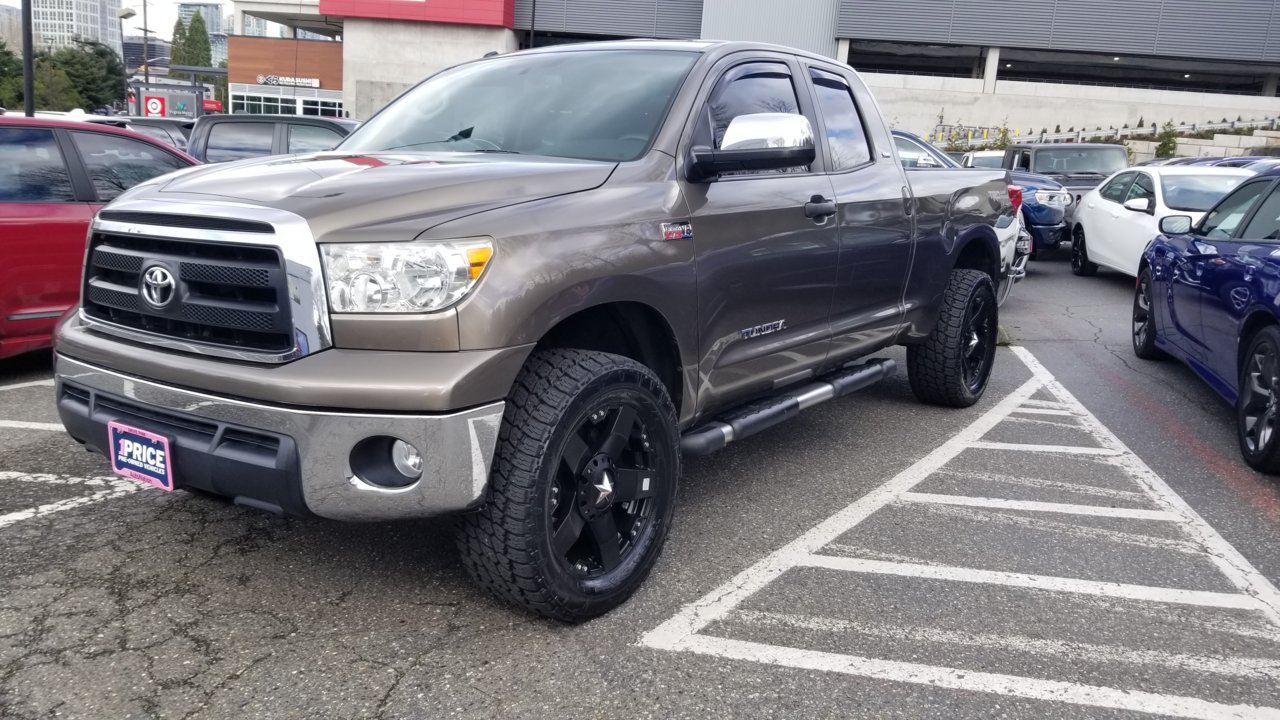 Drongo the Tundra.jpg
