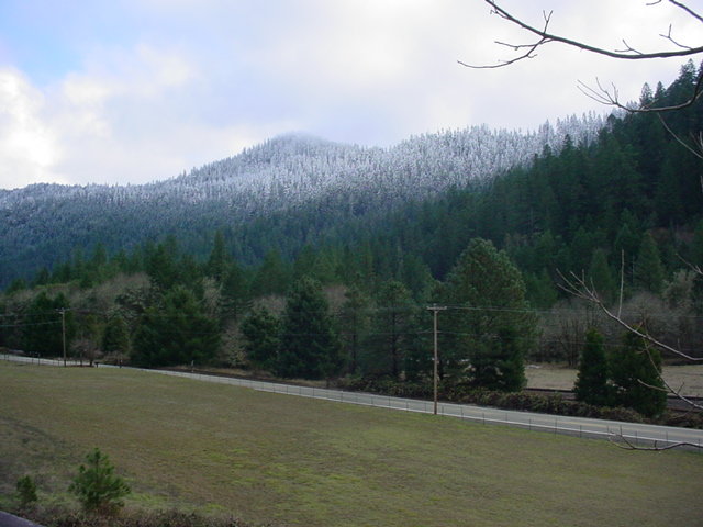 DSC00006.jpg