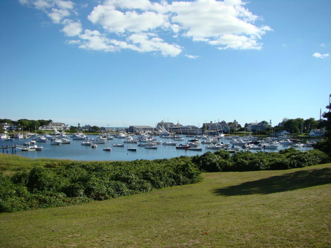 DSC00016.jpg