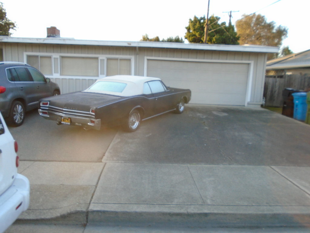 DSC00574.jpg