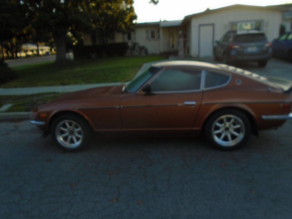 DSC00578.jpg