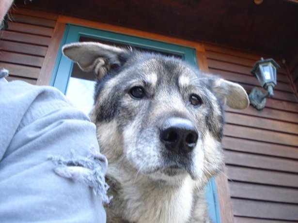 DSC03525.jpg