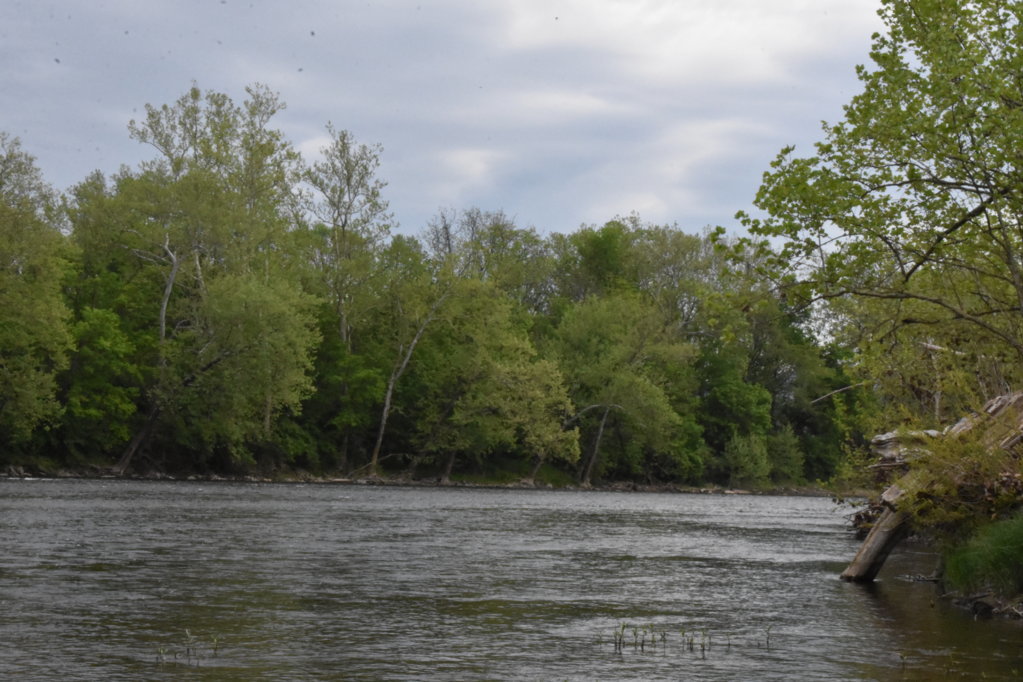 DSC_0001.jpg
