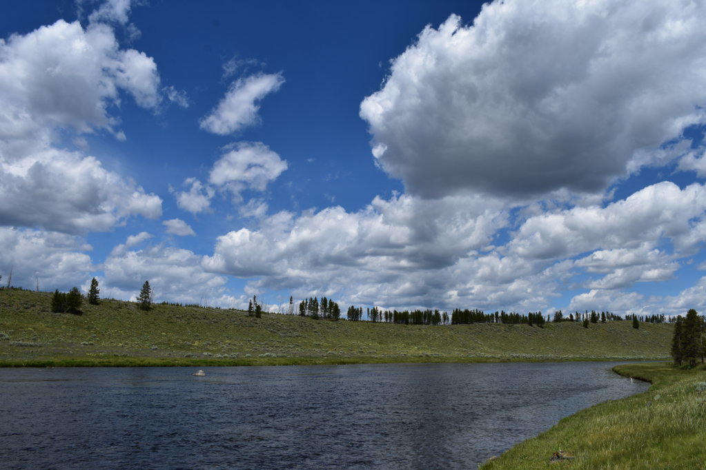 DSC_0001.jpg