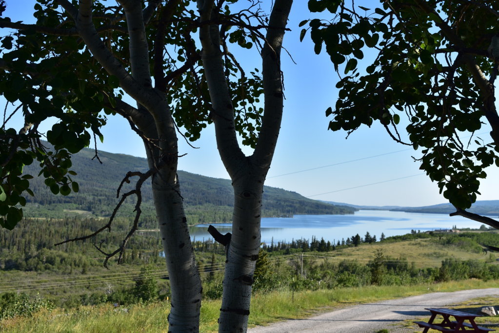 DSC_0002.jpg