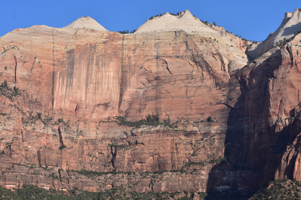 DSC_0003.jpg
