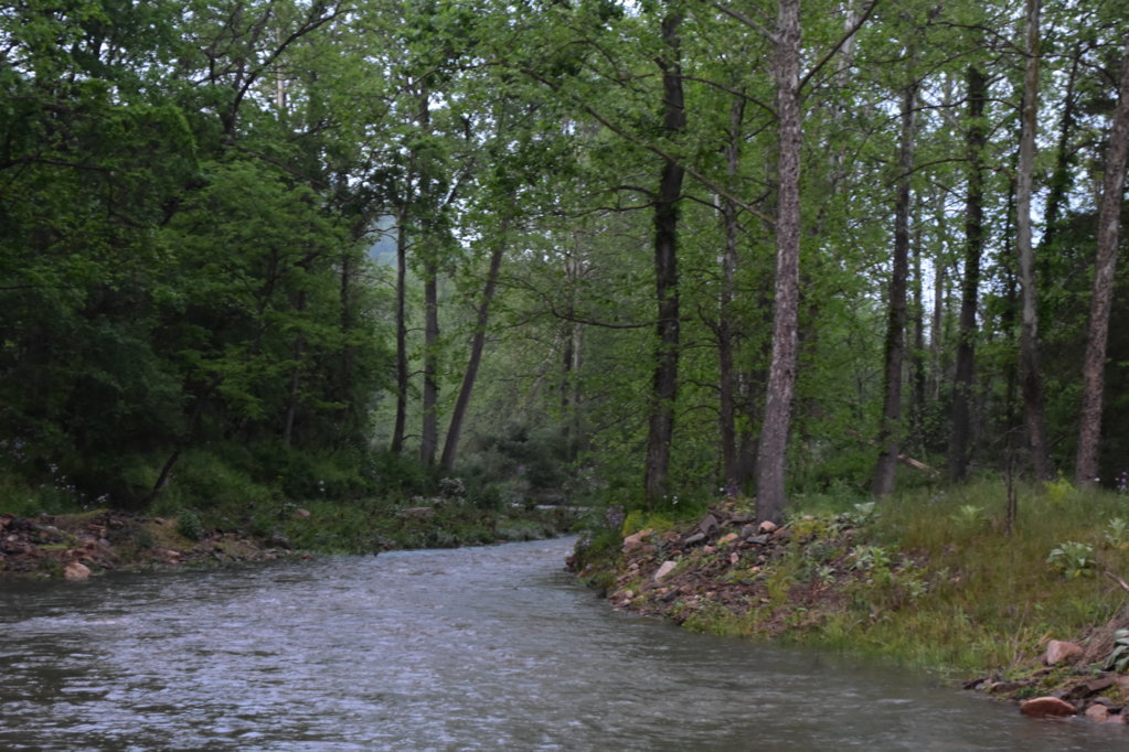 DSC_0004.jpg