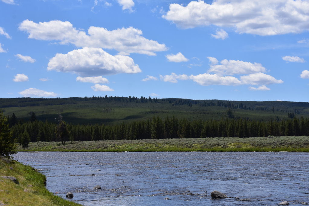 DSC_0004.jpg