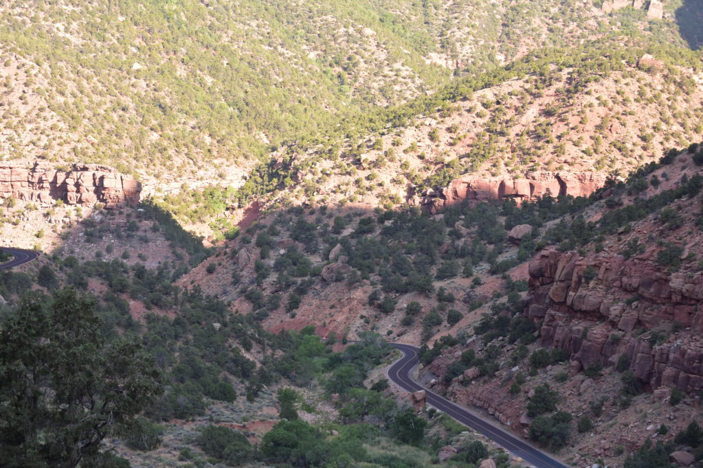 DSC_0005.jpg