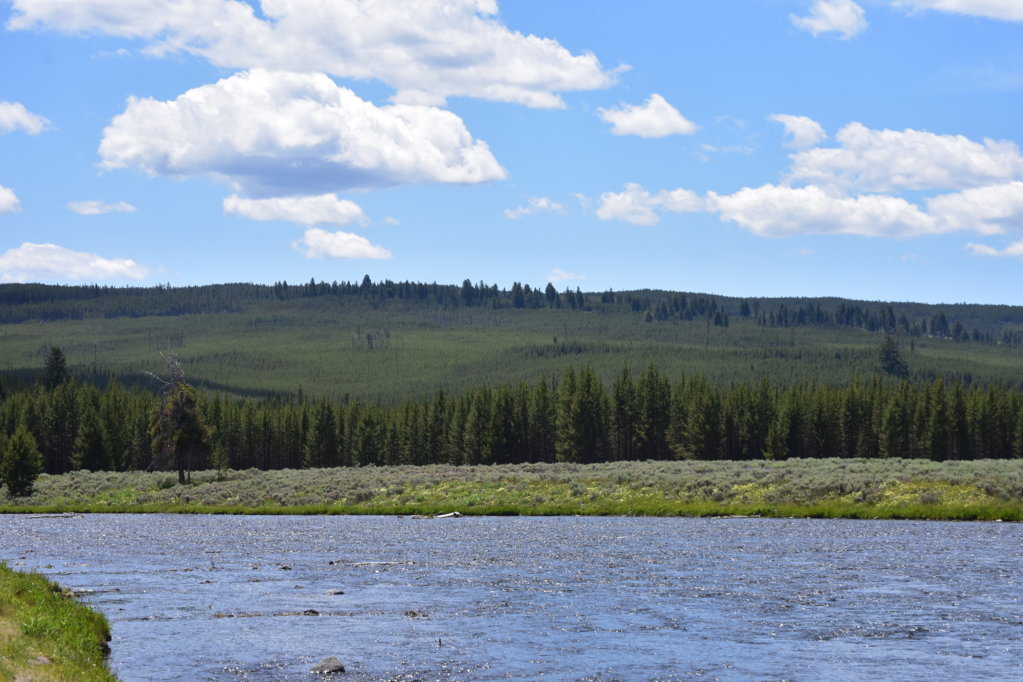 DSC_0005.jpg