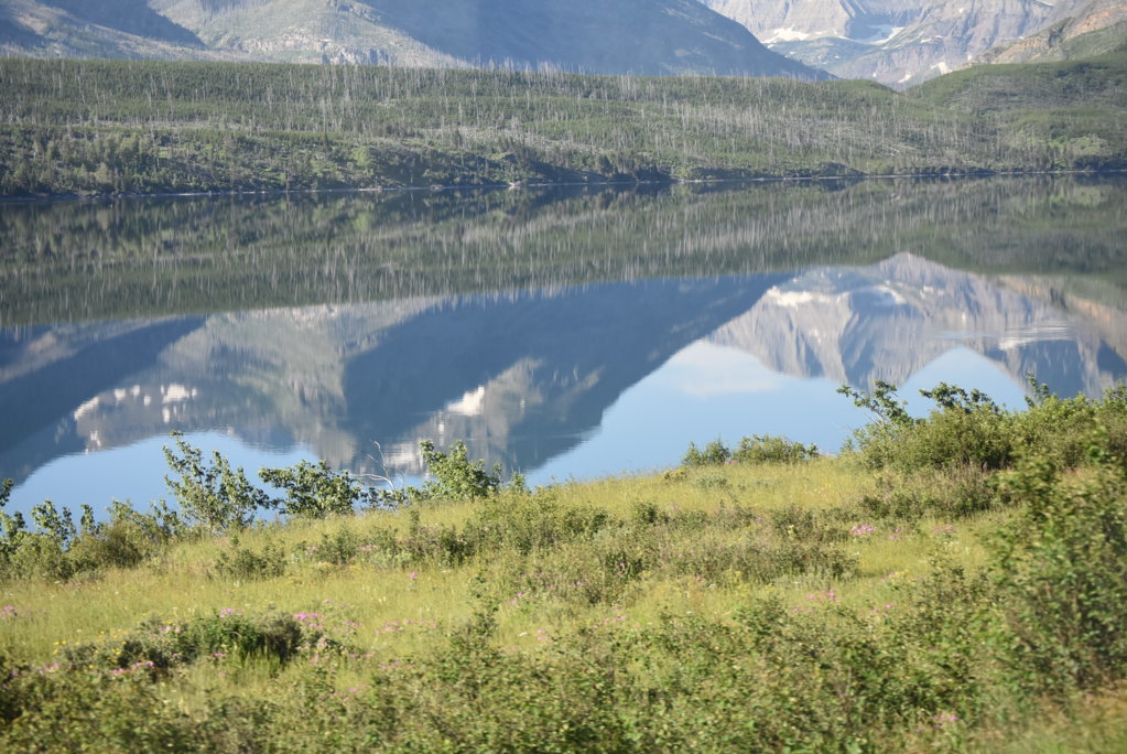 DSC_0005.jpg