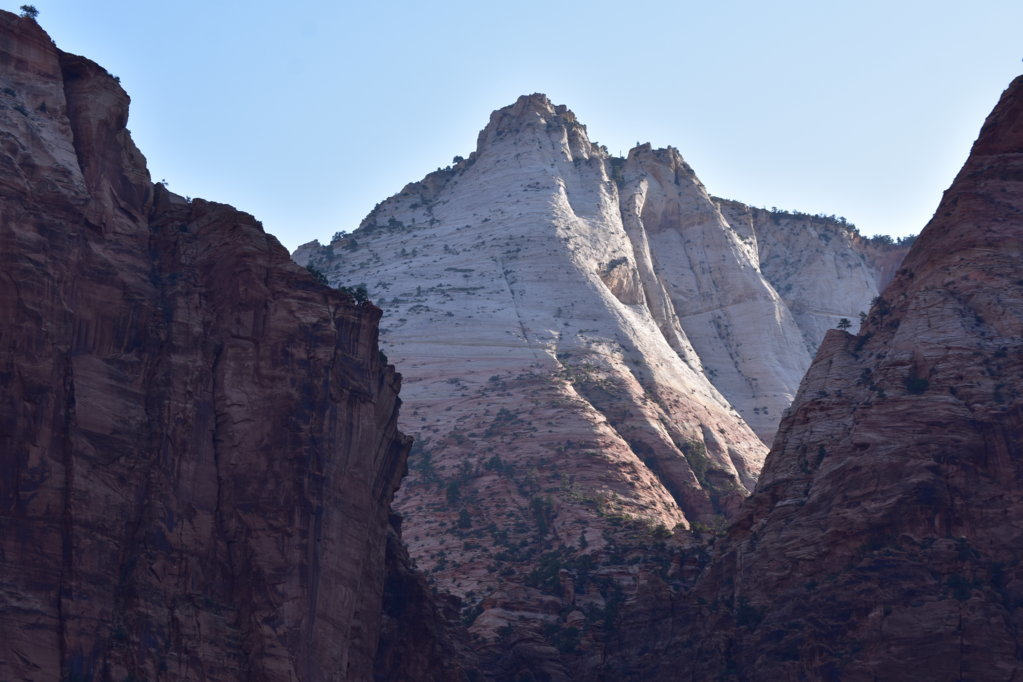 DSC_0006.jpg