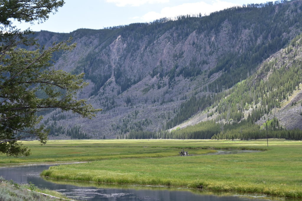 DSC_0006.jpg
