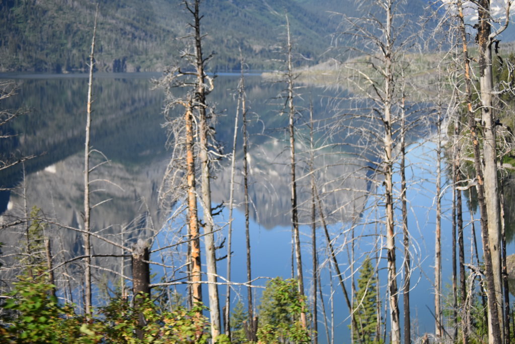 DSC_0007.jpg