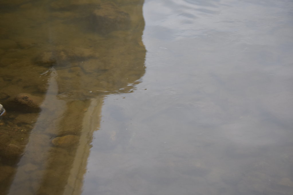 DSC_0008.jpg