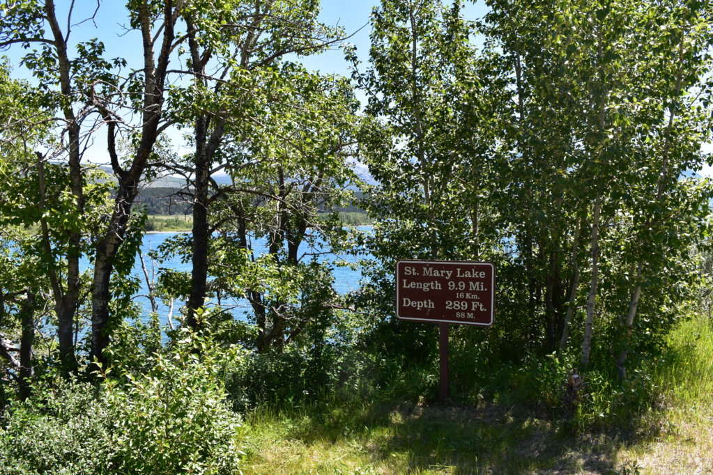 DSC_0008.jpg