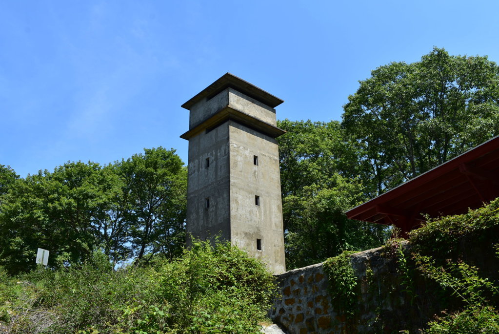 DSC_0008.jpg