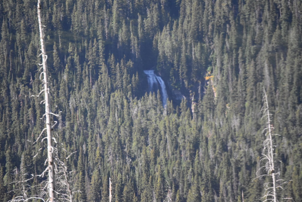 DSC_0009.jpg