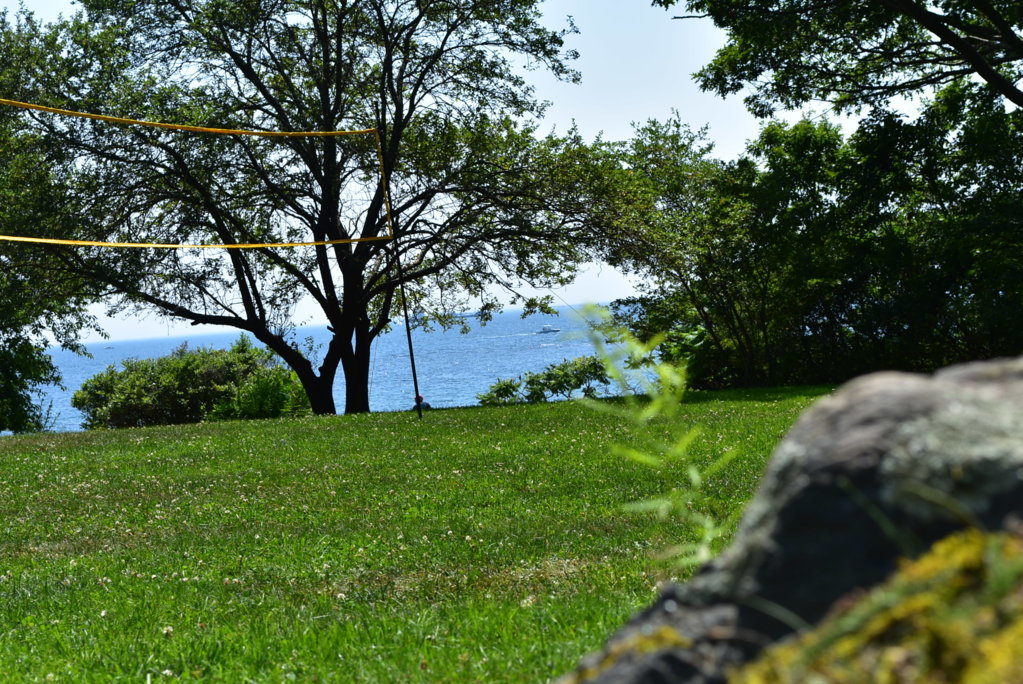 DSC_0009.jpg