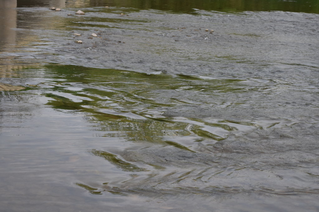 DSC_0012.jpg