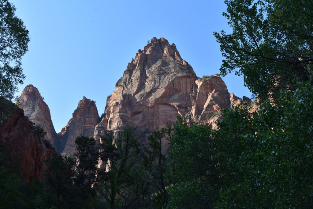 DSC_0012.jpg