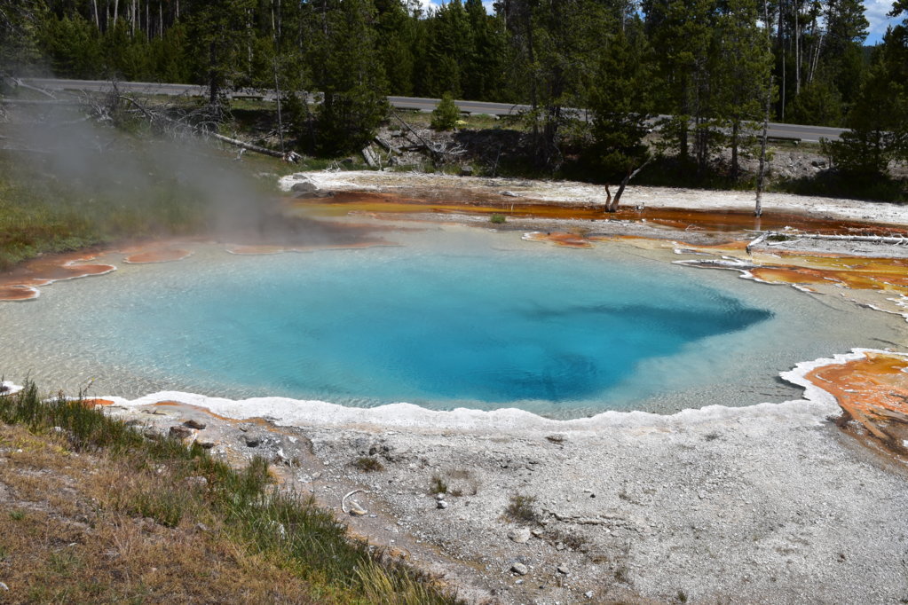 DSC_0012.jpg