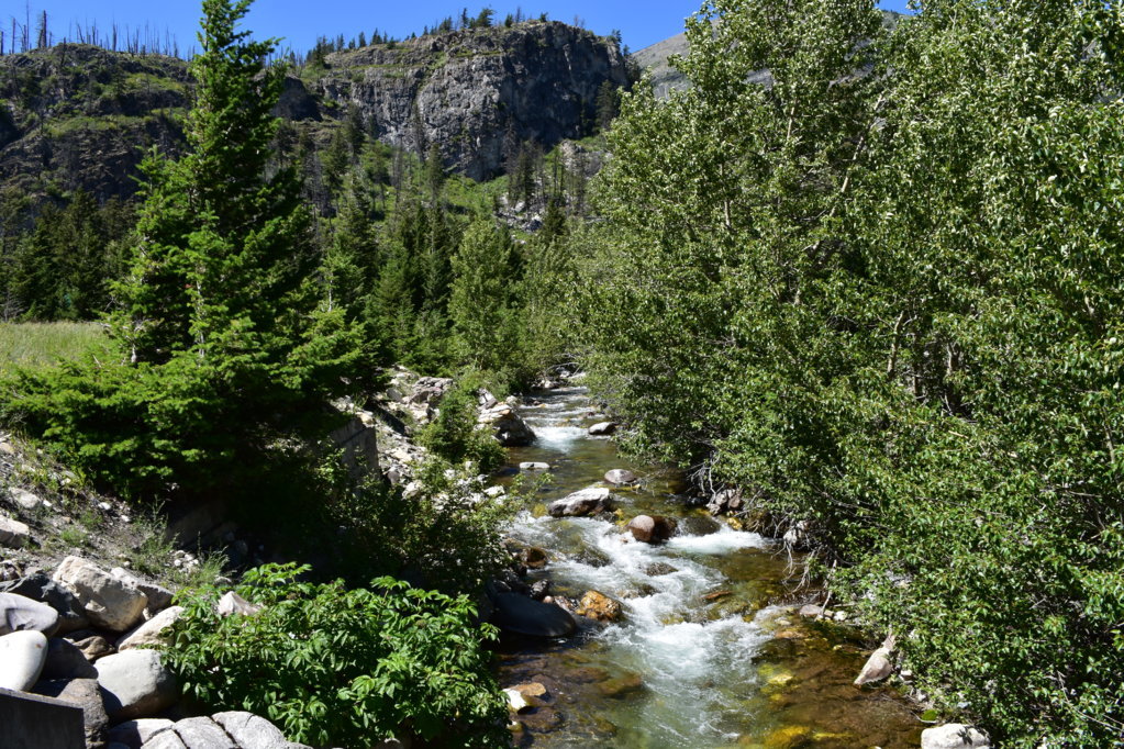 DSC_0013 (1).jpg