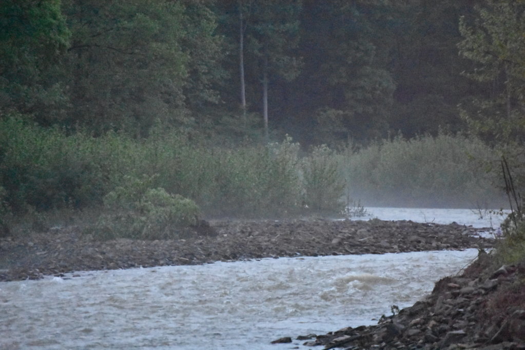 DSC_0013.jpg