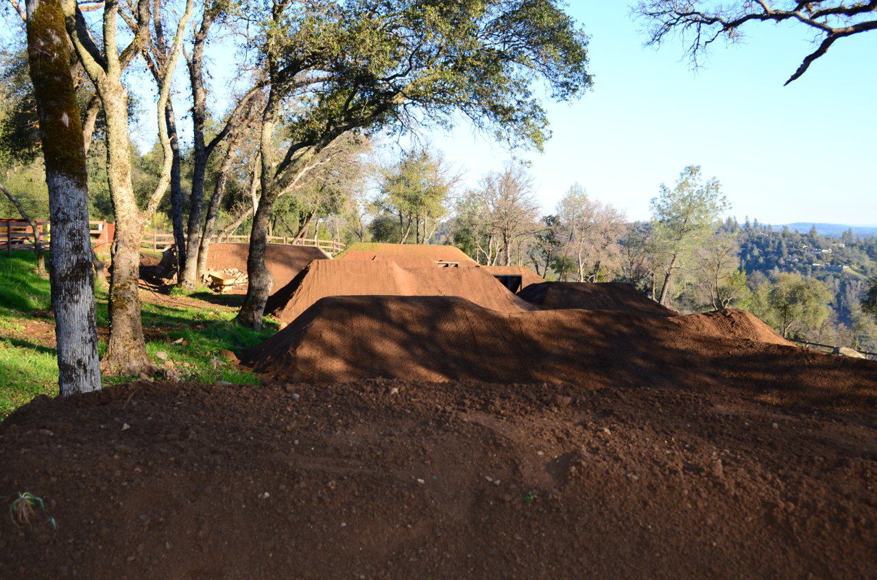 DSC_0014.jpg