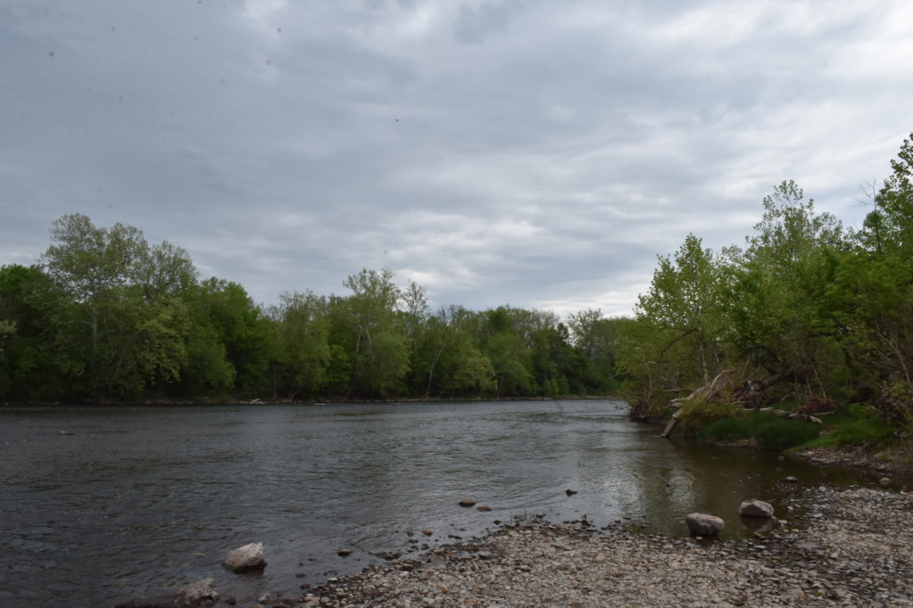 DSC_0015.jpg
