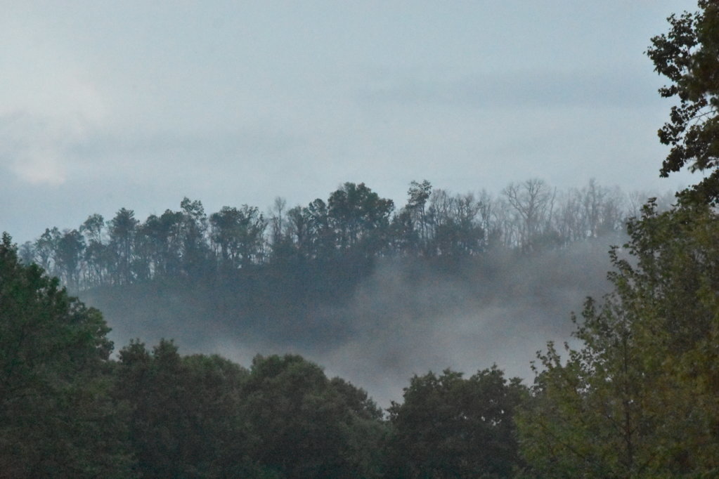 DSC_0015.jpg