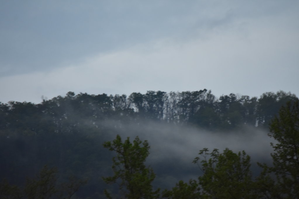 DSC_0017.jpg