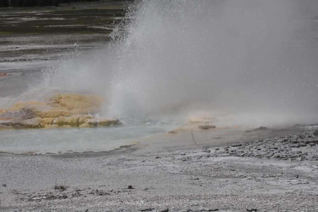 DSC_0017.jpg