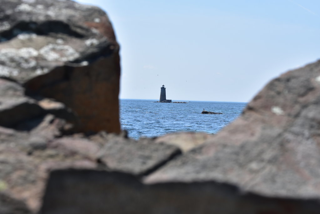DSC_0017.jpg