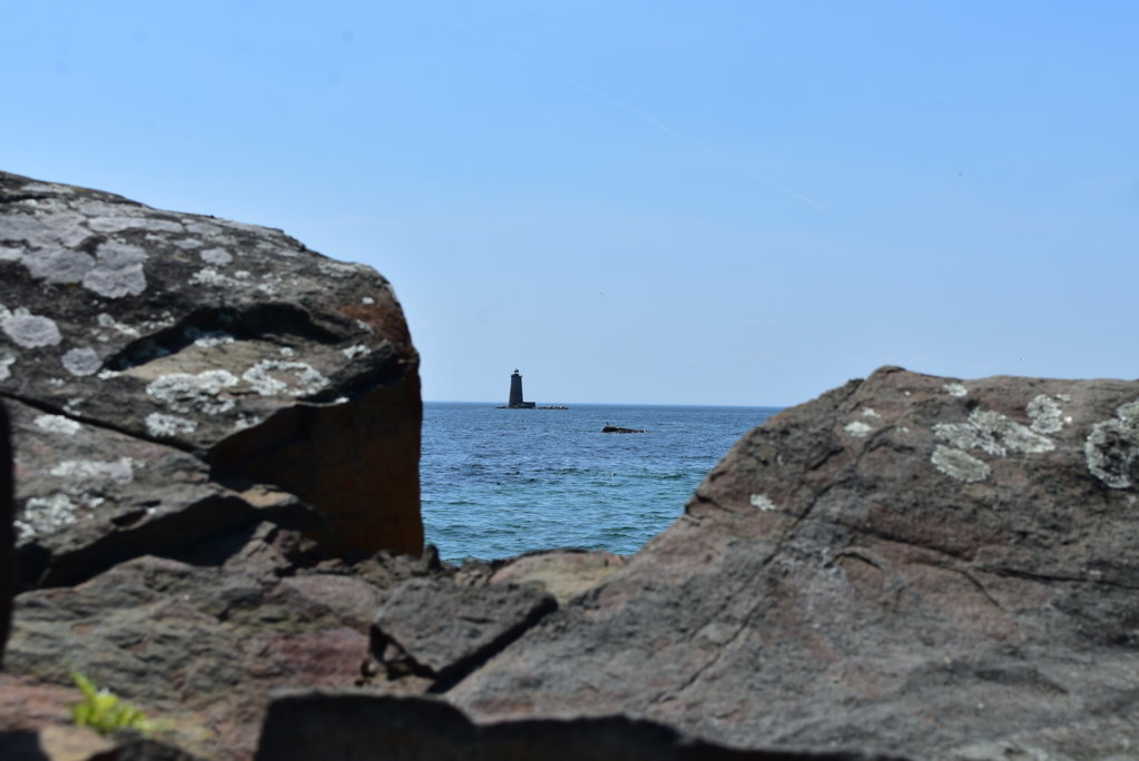 DSC_0018.jpg