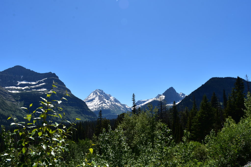 DSC_0019 (1).jpg