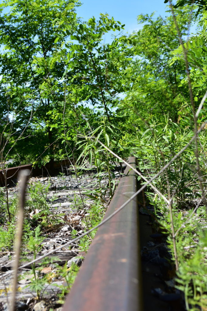 DSC_0019.jpg