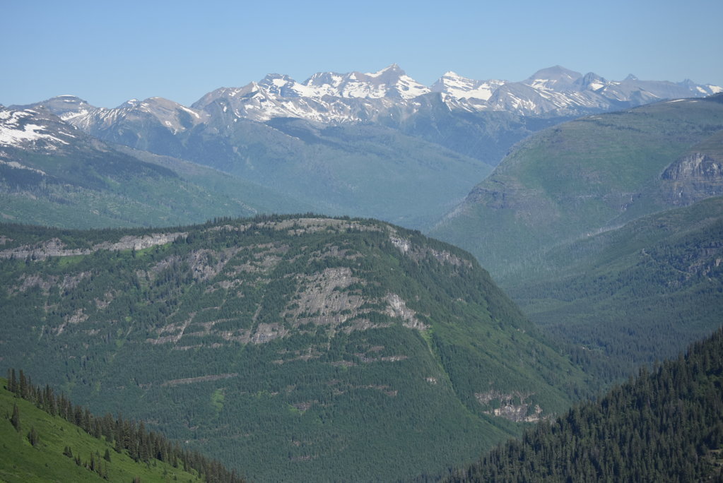 DSC_0019.jpg