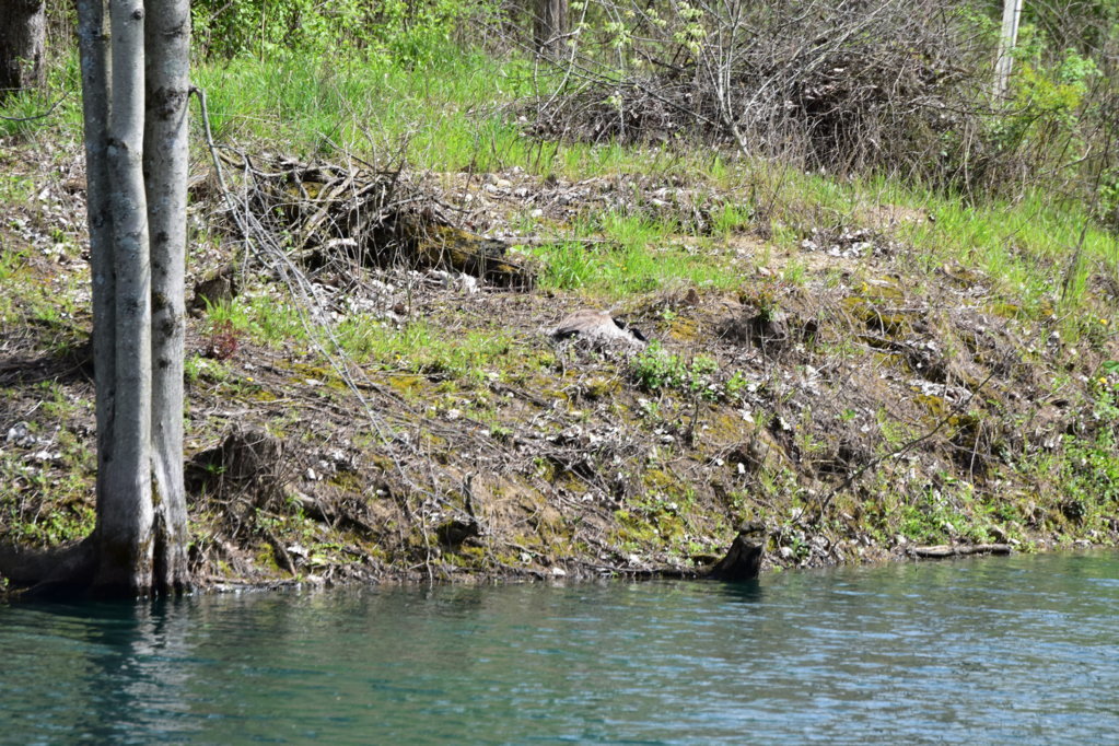 DSC_0020.jpg