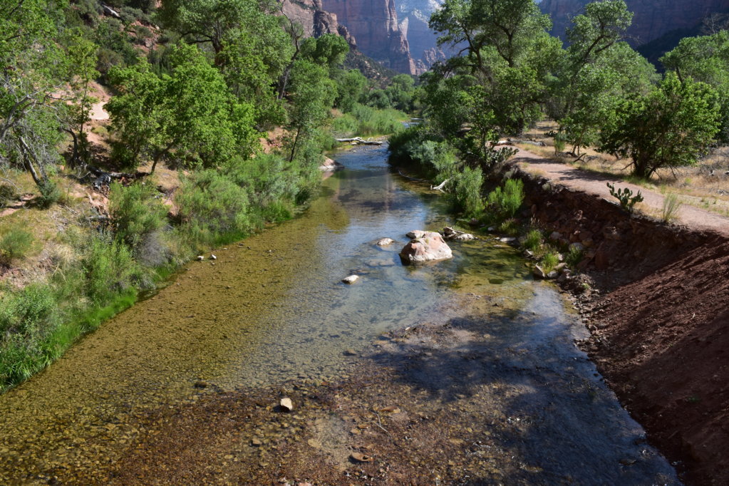 DSC_0020.jpg