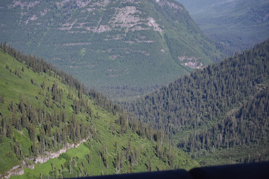 DSC_0020.jpg