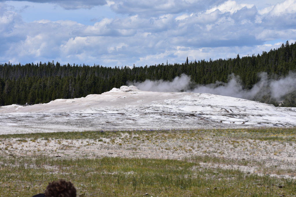 DSC_0021.jpg