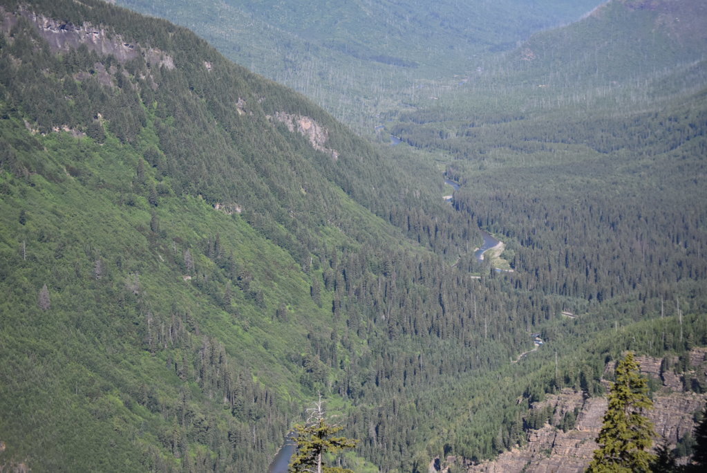 DSC_0022.jpg
