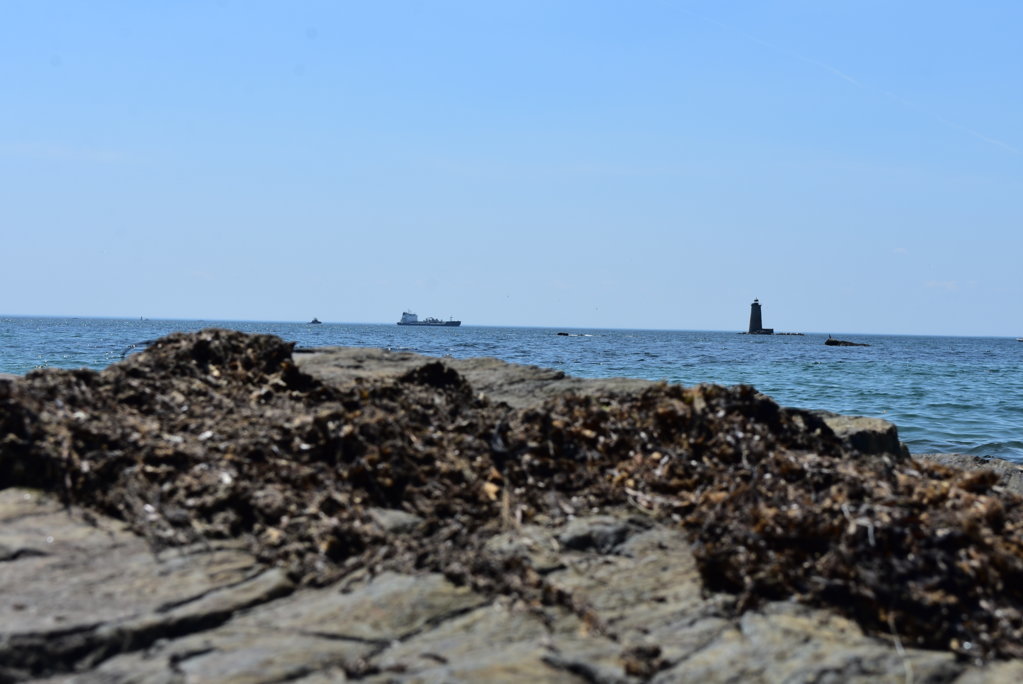 DSC_0022.jpg